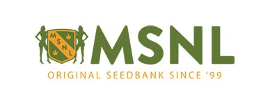 msnl-logo