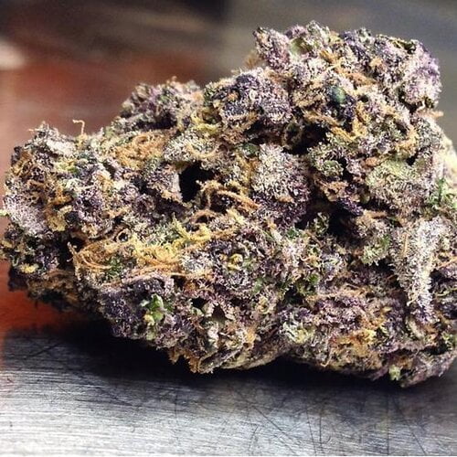Purple Urkle Bud