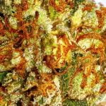 Incredible Hulk Strain Marijuana Plant