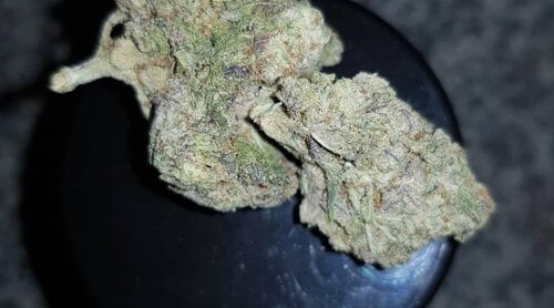 French Cookies Bud