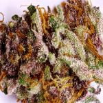 Purple Dragon Strain Marijuana Plant
