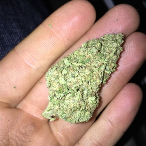 Sour Candy Bud