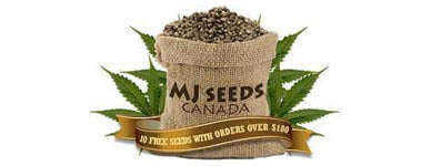mj-seeds-canada-logo