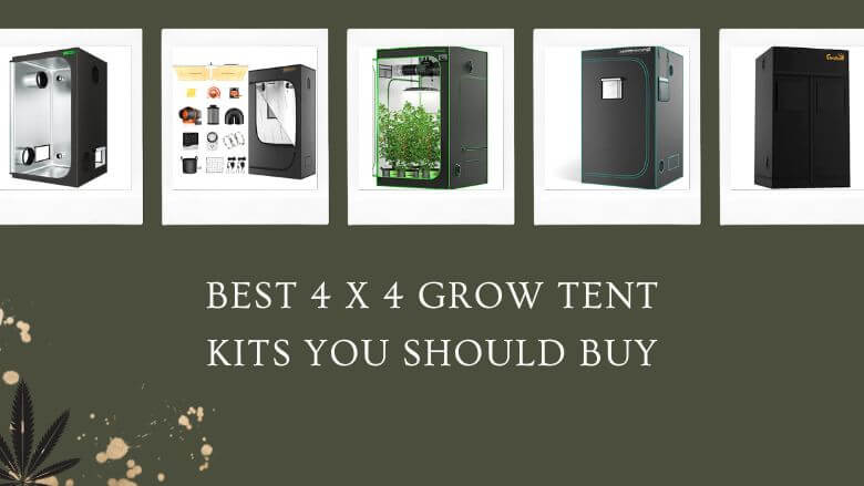 best 4x4 grow tent kits