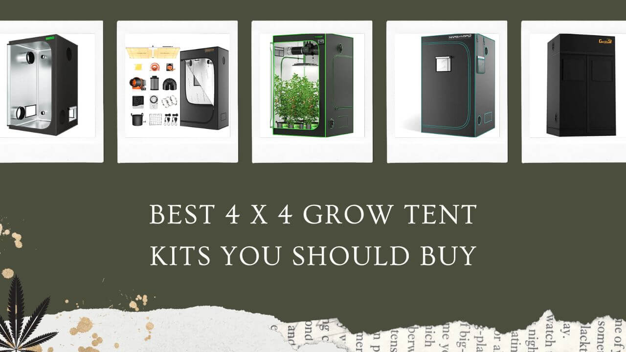 Best Grow Tent Kits Featured Image