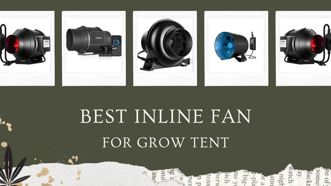 Best Inline Fan for Grow Tent Featured Image