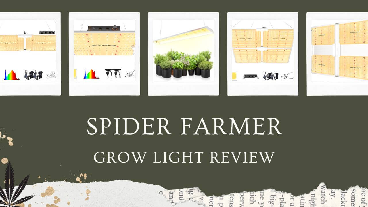 Spider Farmer Grow Light Review Featured Image