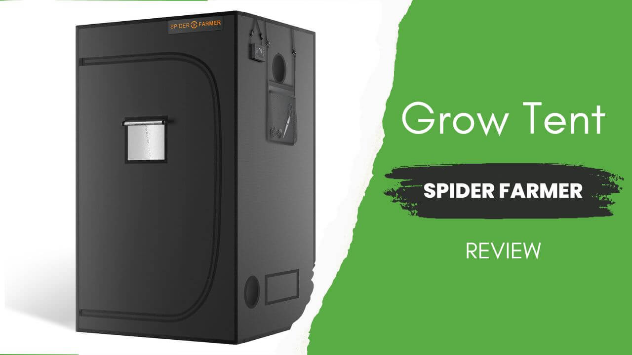 Spider Farmer Grow Tent Review Featured Image